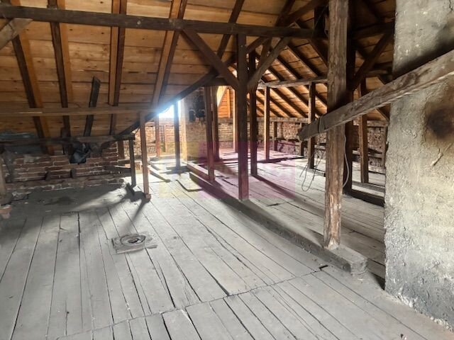 Casa Floreasca- Dinamo.