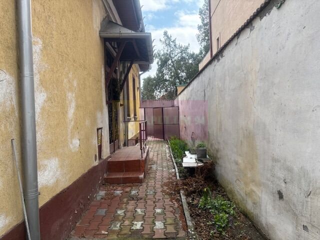 Casa Floreasca- Dinamo.